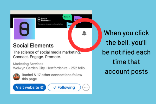 The Social Elements LinkedIn profile and bell icon to get notifications