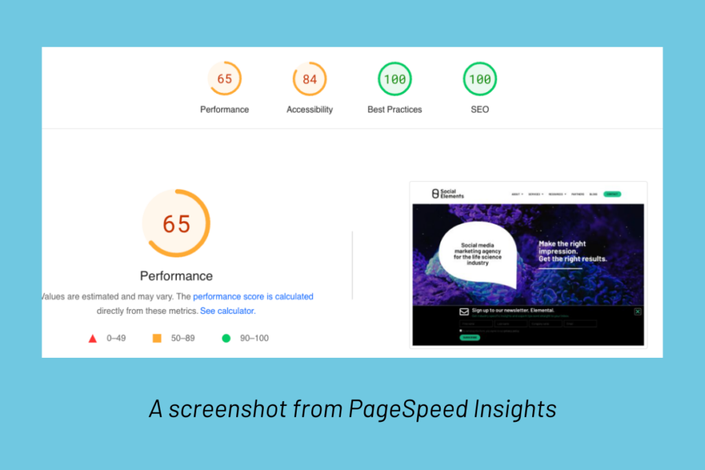 A screenshot from PageSpeed Insights